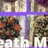 11 Different Methods Wreath Bases With 10 Inch Mesh Hard Working Mom Wreath Basics