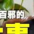 聽紀元 王友群 我親歷的 一正壓百邪 的五件事 大紀元新聞網