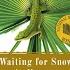 Plot Summary Waiting For Snow In Havana By Carlos Eire In 6 Minutes Book Review