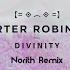 Porter Robinson Divinity Norith Remix