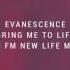 Evanescence Bring Me To Life DJ FM New Life Remix