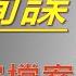 二戰間諜絕密檔案 詭秘諜海 01 蘇聯德國日本間諜特工 二戰 間諜 特工 特務 佐爾格 川島芳子 情報 檔案 解密 有聲書 聽書