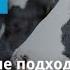 Альта Агроплем Современные подходы в селекционной работе 18 июня 14 00