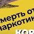 МИХАИЛ ГОРШЕНЕВ От наркотиков до гроба жизнь и трагическая смерть Горшка из группы КОРОЛЬ И ШУТ