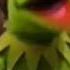 Kermit The Frog Goes Crazy