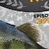 Perch Pro 2018 EPISODE 3 With French German Russian Subtitles