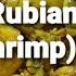 Mawash Rubian Fresh Shrimp Arabic Dish