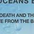 Seafret Angel Of Small Death The Codeine Scene BBC Live Version Hozier Cover Audio