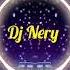 OMEGA PEGAO TIK TOK Dj Nery