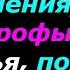 Землетрясения и наводнения все войны и катастрофы горе и несчастье пожары и в лесах из космоса