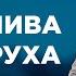 БРЕХЛИВА СВЕКРУХА НАЙПОПУЛЯРНІШІ ВИПУСКИ СТОСУЄТЬСЯ КОЖНОГО НАЙКРАЩІ ТВ ШОУ