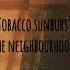 The Neighbourhood Tobacco Sunburst Lyrics Video