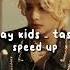 Stray Kids Taste Speed Up