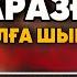 ЕРБОЛ АҚЫН ӘЛҚОЖАНЫҢ ШЕШЕСІН ИТКЕ ТЕҢЕДІ Әлқожа Таразға барып бетпе бет шешеміз деп талап қойды