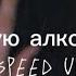 Floki евсэ Ворую алкоголь Speed Up