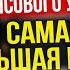 Николай Мрочковский Какая доходность инвестиций К чему привело выгорание Самая большая цель