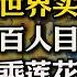 极乐世界实有 阿迷佛陀实有 亲身经历 上百人亲眼目睹老居士乘坐莲花飞到阿弥陀佛手上