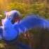 Rio 2 Beautiful Creatures Brazilian Official Version