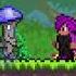 Terraria Items I Never Understood