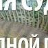 КАК ЛОВИТЬ СУДАКА на ОТВОДНОЙ ПОВОДОК