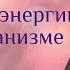 Код Жизни Ячейка 8 уровни 4 5 6 Гарат ТайныеЗнания