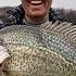 SHALLOW MUDDY River Backwater Bonanza The Crappie Chronicles S4 E13