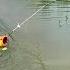 Bac S Fishing Technique Use Many Small Bamboos To Fish For Giant Fish In A Large Lake