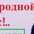 Кистинка Туми Дишни представила чечено грузинский сборник стихов чеченского поэта Апти Бисултанова