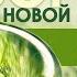 Медитативная практика с Валерием Владимировичем