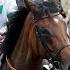 Group 1 Winner At Last TAMFANA Strikes In The Sun Chariot Stakes Racing TV