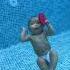 Cute Baby Swimming In Pool