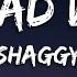 Shaggy Mad Mad World Lyrics Video Rough Life Nuff Crime Youth Them