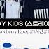 1시간 스트레이 키즈 Stray Kids Falling Up 신의 탑 2기 공방전 OST Korean Ver 2024 10 7 가사 Lyrics