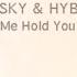 Netsky Hybrid Minds Let Me Hold You