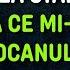 O Orășeancă în Vizită La Mine La Stână Nu A Mai Plecat