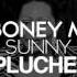 Boney M Sunny Dear Pluche Remix