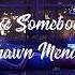 Shawn Mendes Use Somebody Lyrics