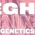 Meghan Trainor Genetics Lyric Video Ft Pussycat Dolls