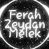 Ferah Zeydan Melek Remix