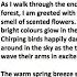 Descriptive Writing Using 5 Senses How To Write The Perfect Piece Of Descriptive Writing