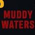 Muddy Waters Classical Blues Music Greatest Hits Full Album Best Blues Songs Of All Time