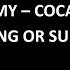 Nomy Cocaine W Lyrics