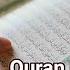 Beautiful Quran Recitation 10 Hours No Ads