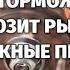 БИЕНИЕ И ВИБРАЦИЯ ПО РУЛЮ ПРИ ТОРМОЖЕНИИ ТОРМОЗИТ РЫВКАМИ ВОЗМОЖНЫЕ ПРИЧИНЫ