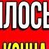 БЫЛО ТУГОВАТО НО ТЕРПЕЛА ДО КОНЦА Измена жены истории из жизни Жизненные аудио рассказы Пу