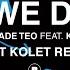 Terry Farley Wade Teo Feat Kameelah Waheed Why We Dance Hilit Kolet Remix