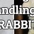 Picking Up A Rabbit Fixing Aggressive Behavior