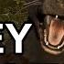 Far Cry 4 The Honey Badger