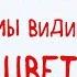 Одинаково ли мы видим ЦВЕТ Научпок