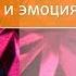 Как драгоценные камни связаны с настроением и эмоциями Эвент Сергея Серебрякова